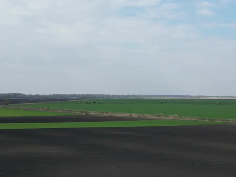 Čoka